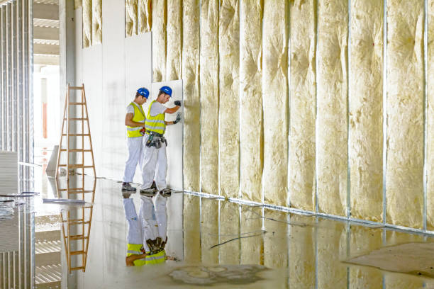 Best Residential Insulation in Freeland, PA